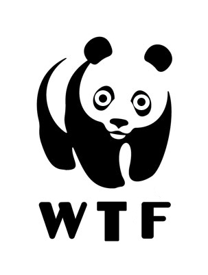 panda-wtf.jpg